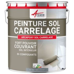 Gris Argent - RAL 7001 - 1 kg (jusqu'à 5 m² en 2 couches) - ARCANE INDUSTRIES