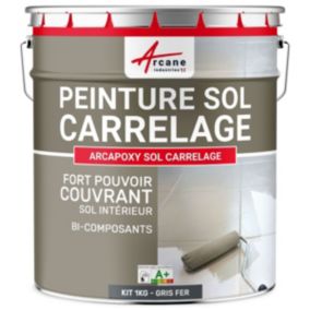 Gris fer - RAL 7011 - 1 kg (jusqu'à 5 m² en 2 couches) - ARCANE INDUSTRIES