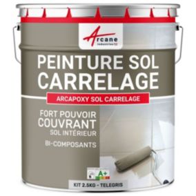 Gris Telegris 4 - RAL 7047 - 2.5 kg (jusqu'à 12.5 m² en 2 couches) - ARCANE INDUSTRIES
