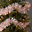 Guirlande de noël coloris blanc et rose finition brillante longueur 2 m