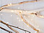 Guirlande lumineuse 20 LED blanc chaud, piles