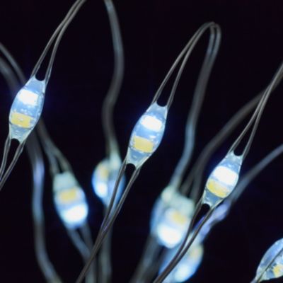 Guirlande lumineuse 20 LEDs intérieur
