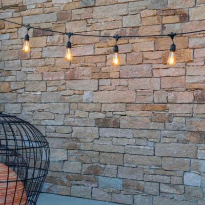Guirlande lumineuse extérieur connectée IP64 noir 10 LED E27 850lm 6 M Lumisky Mafy light