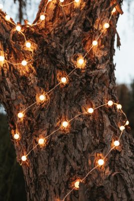 Guirlande lumineuse extérieur solaire L.10 m IP44 blanc chaud New Garden Griselda