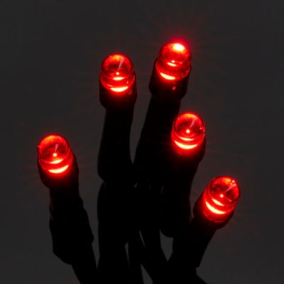 Guirlande lumineuse extérieure câble vert 120 LED rouge