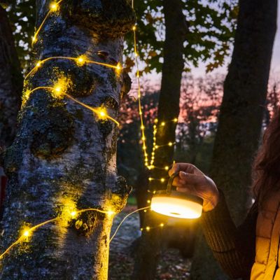 Guirlande lumineuse LED extérieur batterie USB rechargeable IP44 L.9,9 m GoodHome