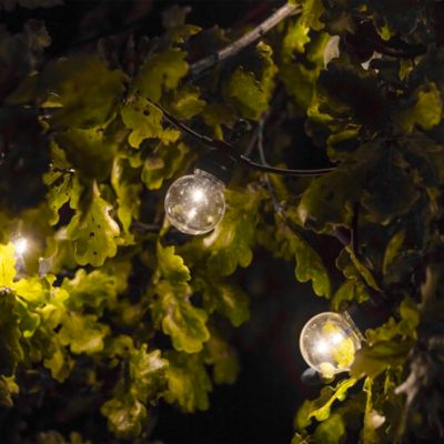 Guirlande lumineuse LED Party Clear 20 Lumisky 50 lm 1W IP44 blanc chaud L.8,7m guinguette noir brillant