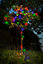 Guirlande lumineuse multicolore 80 LED globes