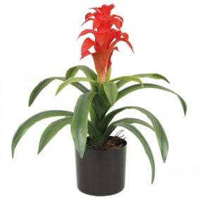 Guzmania artificielle toucher naturel 45cm