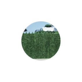 Haie artificielle 126 brins vert sapin en rouleau Ultra 1x3 m (Lot de 6)