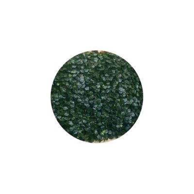Haie artificielle feuillage en rouleau Duo 1.5x3 m