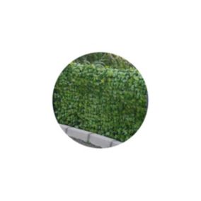 Haie artificielle feuilles de rosier en rouleau 1x3 m