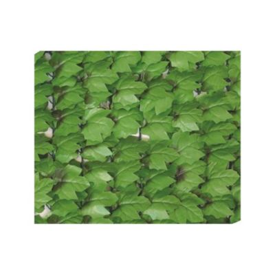 Haie artificielle jeunes feuilles de lierre en rouleau 1.5x3 m
