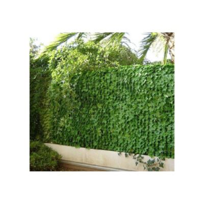 Haie artificielle jeunes feuilles de lierre en rouleau 1.5x3 m
