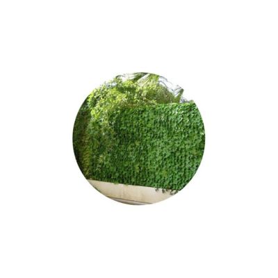Haie artificielle jeunes feuilles de lierre en rouleau 1x3 m