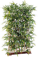 Haie Bambou artificiel h.150 cm