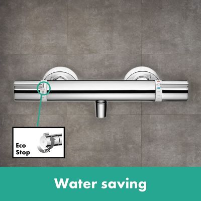 Hansgrohe Ecostat Mitigeur Thermostatique douche 1001 CL (13211000)