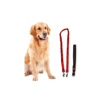 Harnais et Laisse pour chien 190 cm Ceinture réglable 55 à 90 cm Longe Elastique Balade Jogging KZ GARDEN