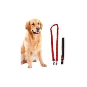 Harnais et Laisse pour chien 190 cm Ceinture réglable 55 à 90 cm Longe Elastique Balade Jogging KZ GARDEN