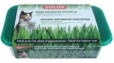 Herbe à chat dépurative Nature Zolux 100g