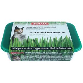 Herbe à chat dépurative Nature Zolux 100g