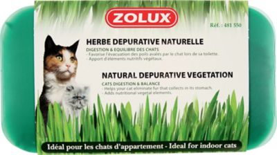 Herbe à chat dépurative Nature Zolux 100g