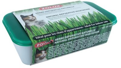 Herbe à chat dépurative Nature Zolux 100g