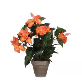 Hibiscus orange artificiel ø30 x h.40 cm en pot Stan gris ø11,5 cm