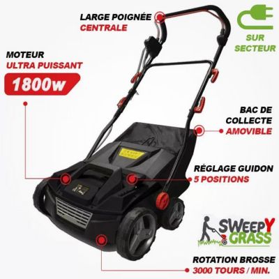HOOVER BROSSE "ASPIRANTE" Électrique  pour Gazon Synthétique