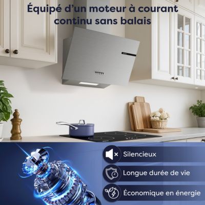 Hotte Inclinee 60 Cm Silencieusenull