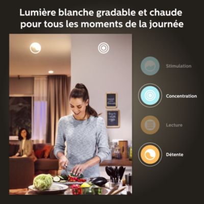 Hue White ambiance kit de démarrage Philips Hue : 2 ampoules connectées IP20 A60 E27 1100lm 11W + bridge