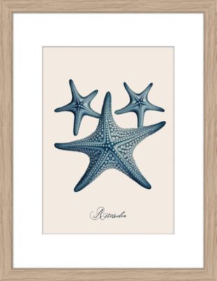 Image encadrée étoile de mer Dada Art cadre en bois 30x40 cm