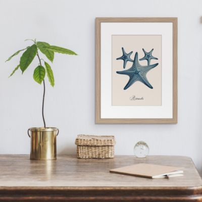 Image encadrée étoile de mer Dada Art cadre en bois 30x40 cm