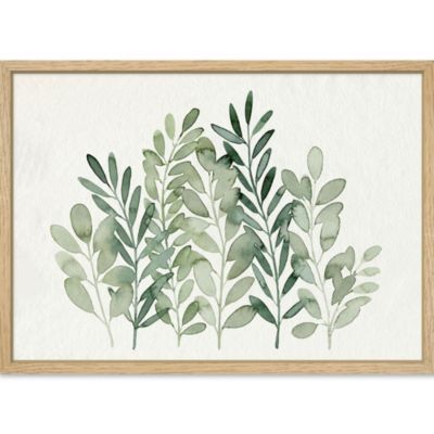 Image encadrée eucalyptus beige et vert l.73 x H.53 cm CM creation