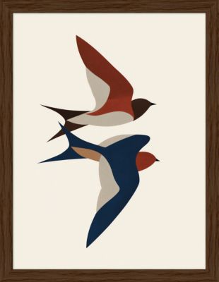 Image encadrée oiseaux cadre en bois coloris noyer 40 x 50 cm Dada Art
