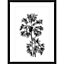 Image encadrée palmiers noir et blanc L.40 x l.30 cm cm Dada Art