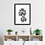 Image encadrée palmiers noir et blanc L.40 x l.30 cm cm Dada Art