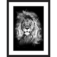 Image encadrée portrait Lion noir et blanc L.40 x l.30 cm cm Dada Art