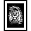 Image encadrée portrait Lion noir et blanc L.40 x l.30 cm cm Dada Art