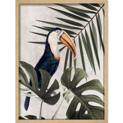 Image encadrée toucan feuillage vert et beige l.43 x H.53 cm CM creation