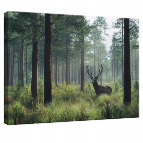 Impression sur toile chevreuil forêt moderne 60x40 cm xxl tableau décoration deco murale intissée pour salon chambre cuisine