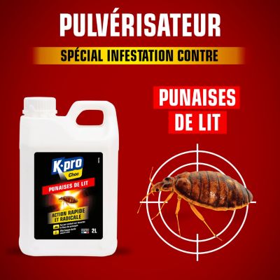 Insecticide anti punaises de lit 2L Kapo Choc