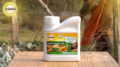 Insecticide du sol anti-taupins et mouches de la carotte Solabiol