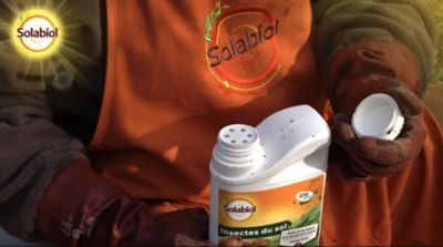 Insecticide du sol anti-taupins et mouches de la carotte Solabiol