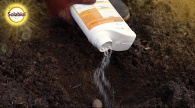 Insecticide du sol anti-taupins et mouches de la carotte Solabiol