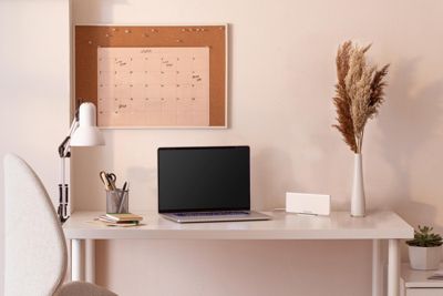 Interface "CozyTouch" Thermor, pour radiateur connecté