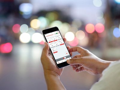 Interface "CozyTouch" Thermor, pour radiateur connecté
