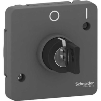 Interrupteur à clé 2 positions IP55 IK07 - composable - gris anthracite ...