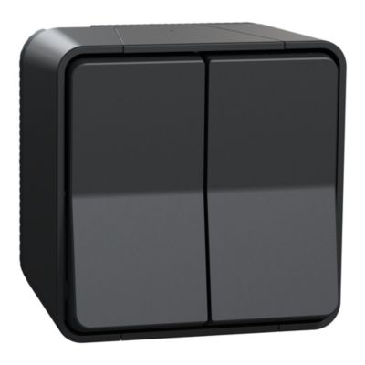 Interrupteur double va-et-vient étanche complet saillie Schneider Electric Mureva Styl anthracite