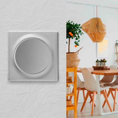 Interrupteur OneKeyElectro simple allumage, gris | Castorama